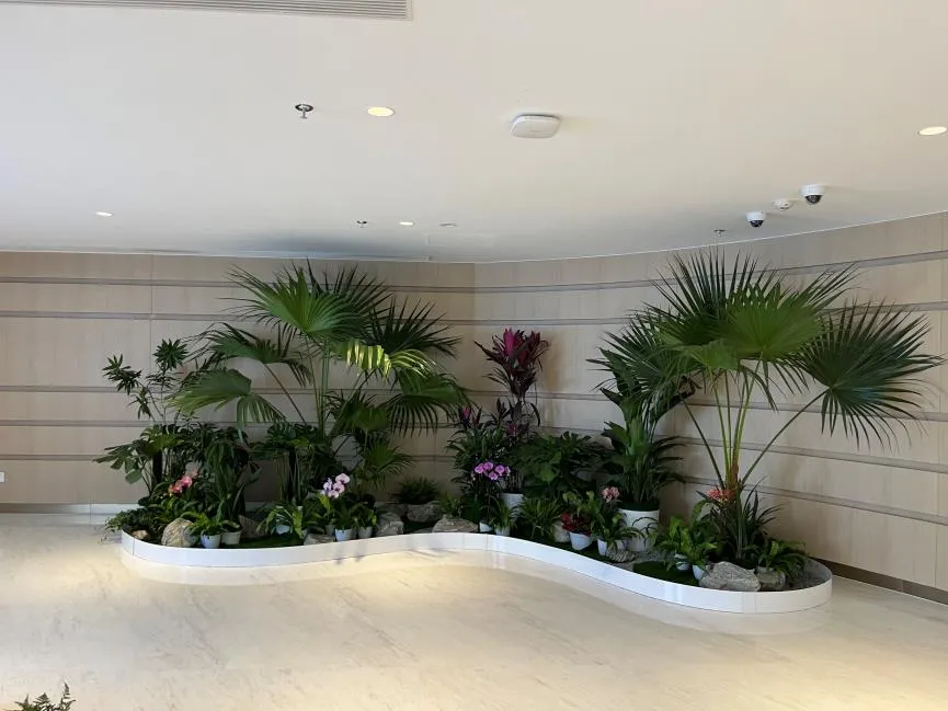 宁波绿化养护公司哪家口碑好？答案就在这里！